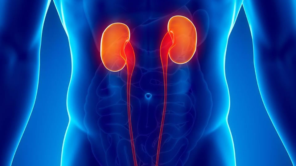 Despre cancerul vezical