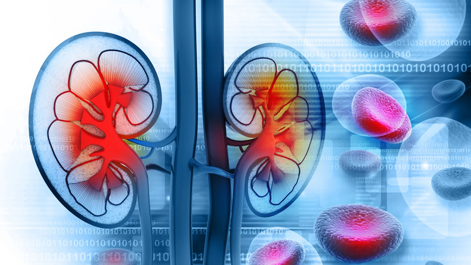 Despre PSA seric – antigenul prostatic specific