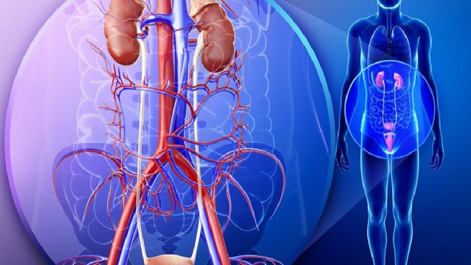 Despre litiaza urinara